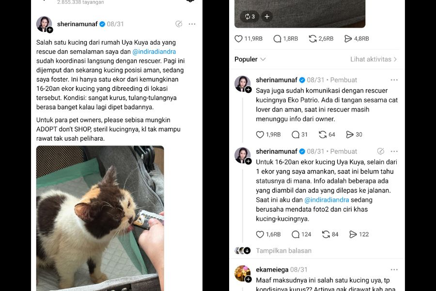 Sherina Munaf Selamatkan Kucing Uya Kuya